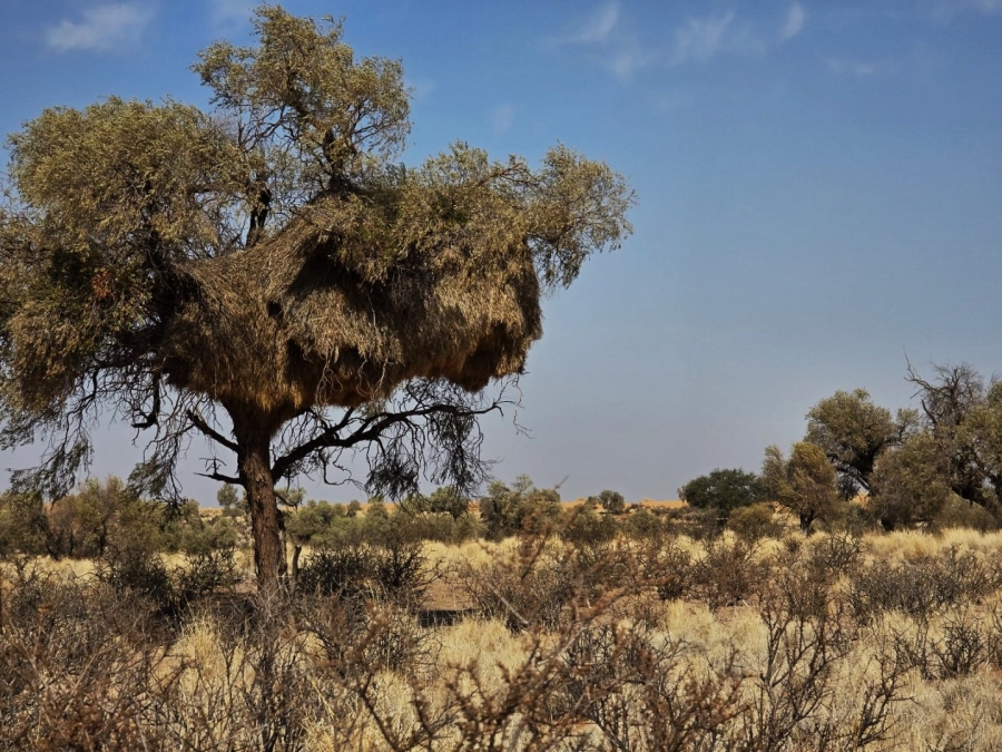 Commercial Property for Sale in Upington Rural Northern Cape